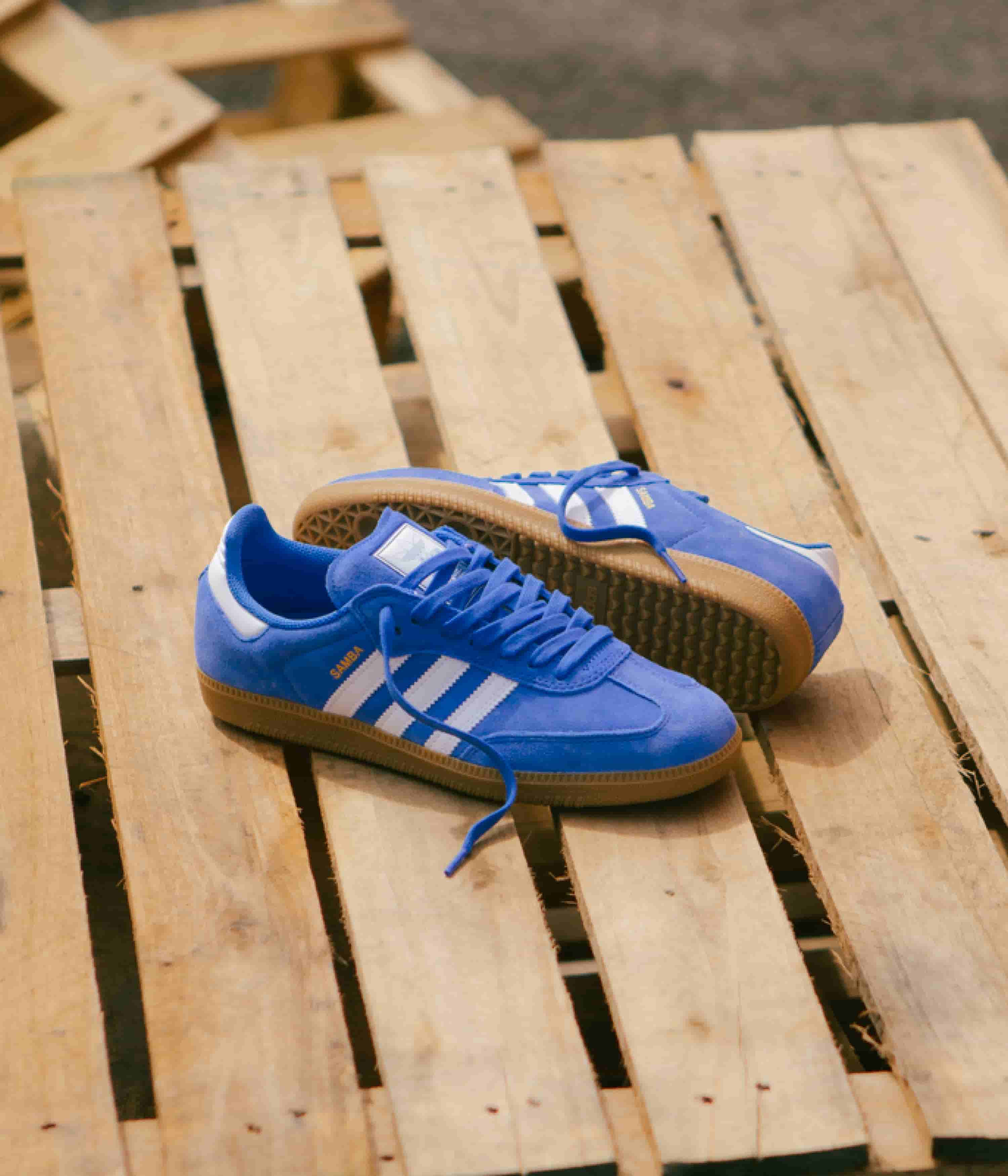 Adidas Samba ADV Shoes - Bluebird / Cloud White / Gold Metallic - Image 2