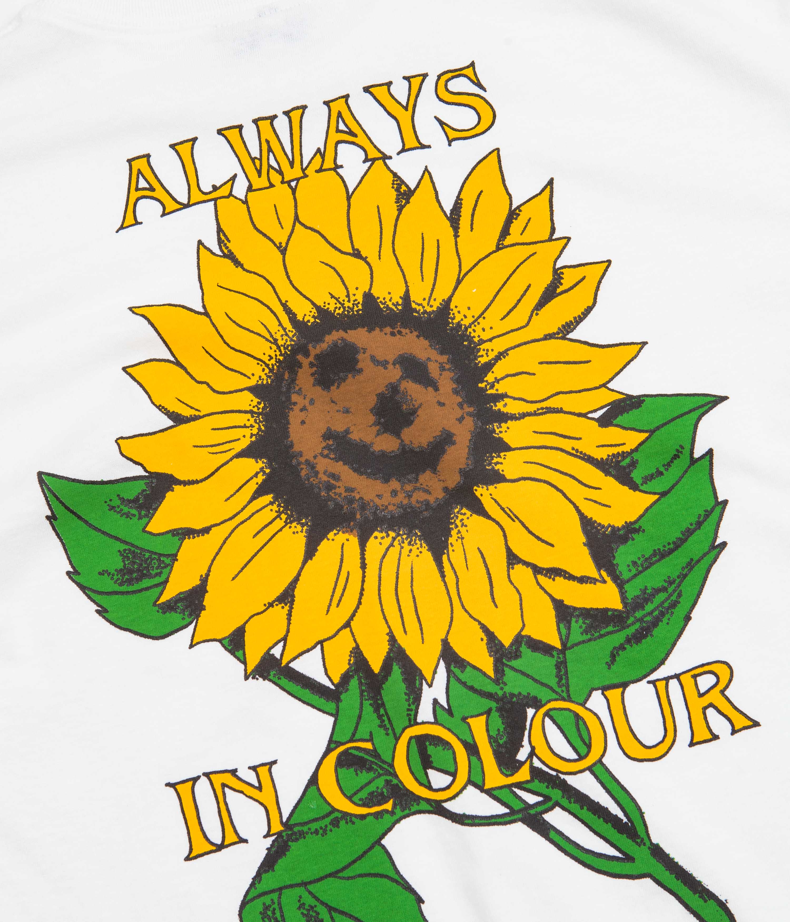 Always in Colour Sunflower T-Shirt - White - Image 5