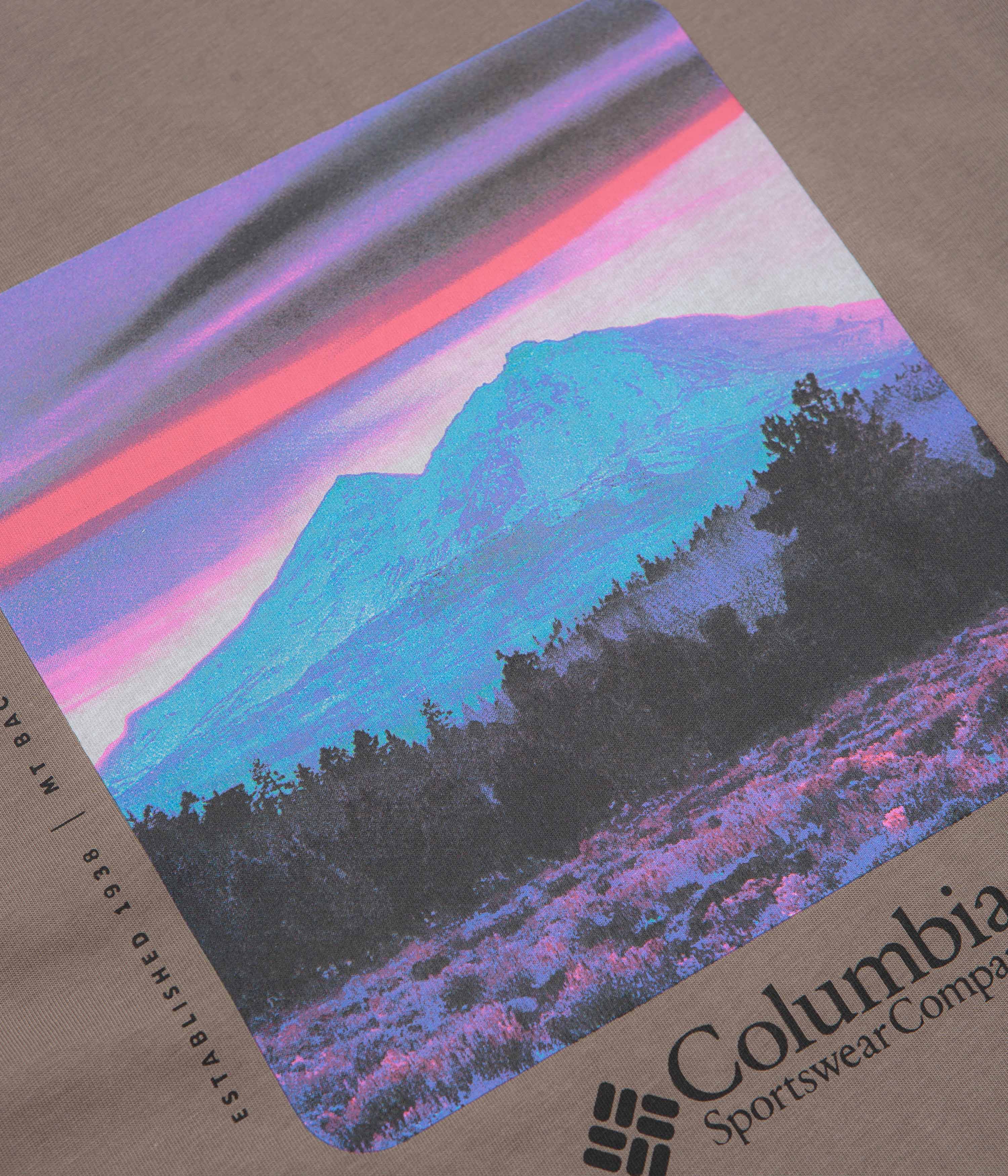 Columbia CSC Heavyweight Back Graphic T-Shirt - Iron / Photoreal CMYK - Image 4
