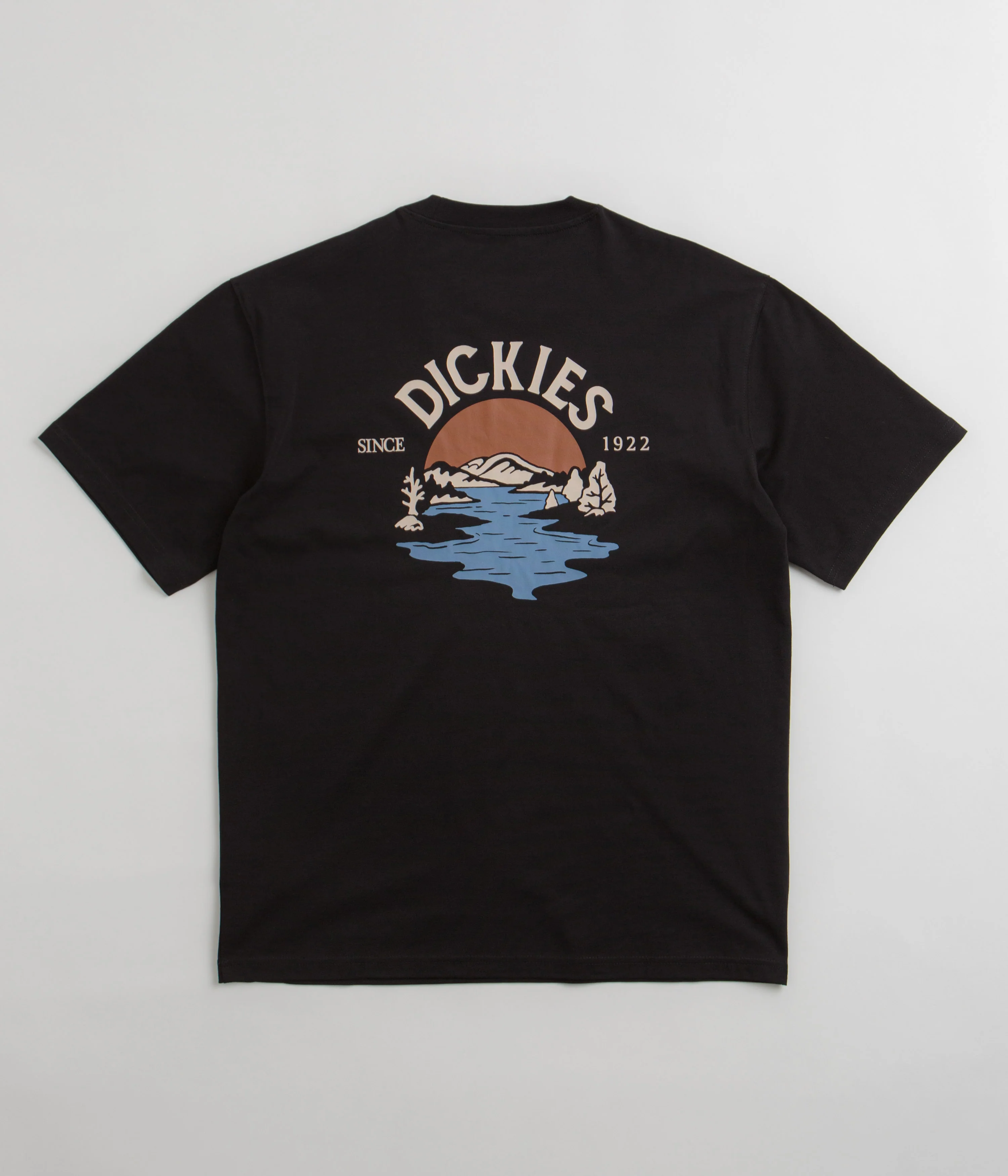 Dickies Beach T-Shirt - Black