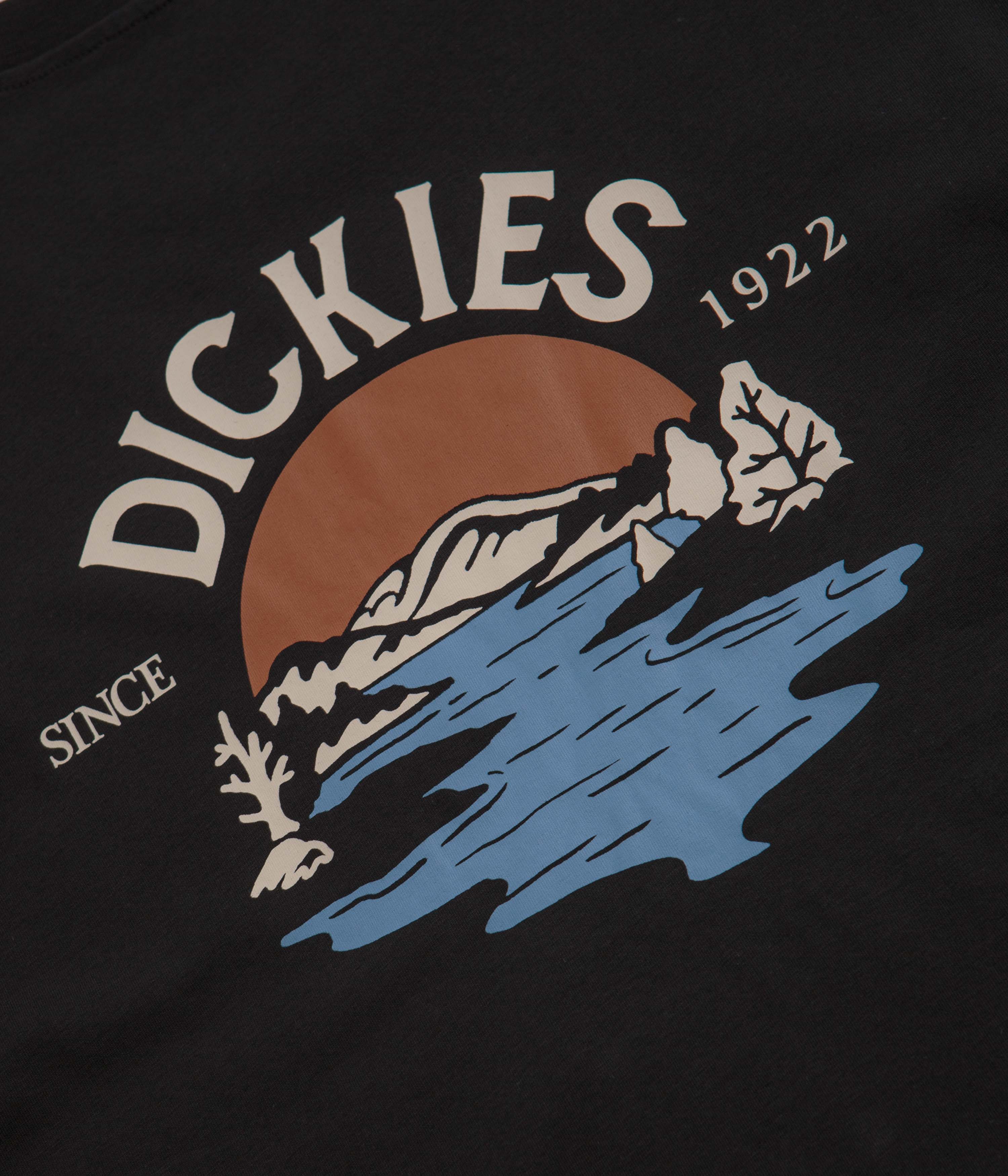 Dickies Beach T-Shirt - Black - Image 5