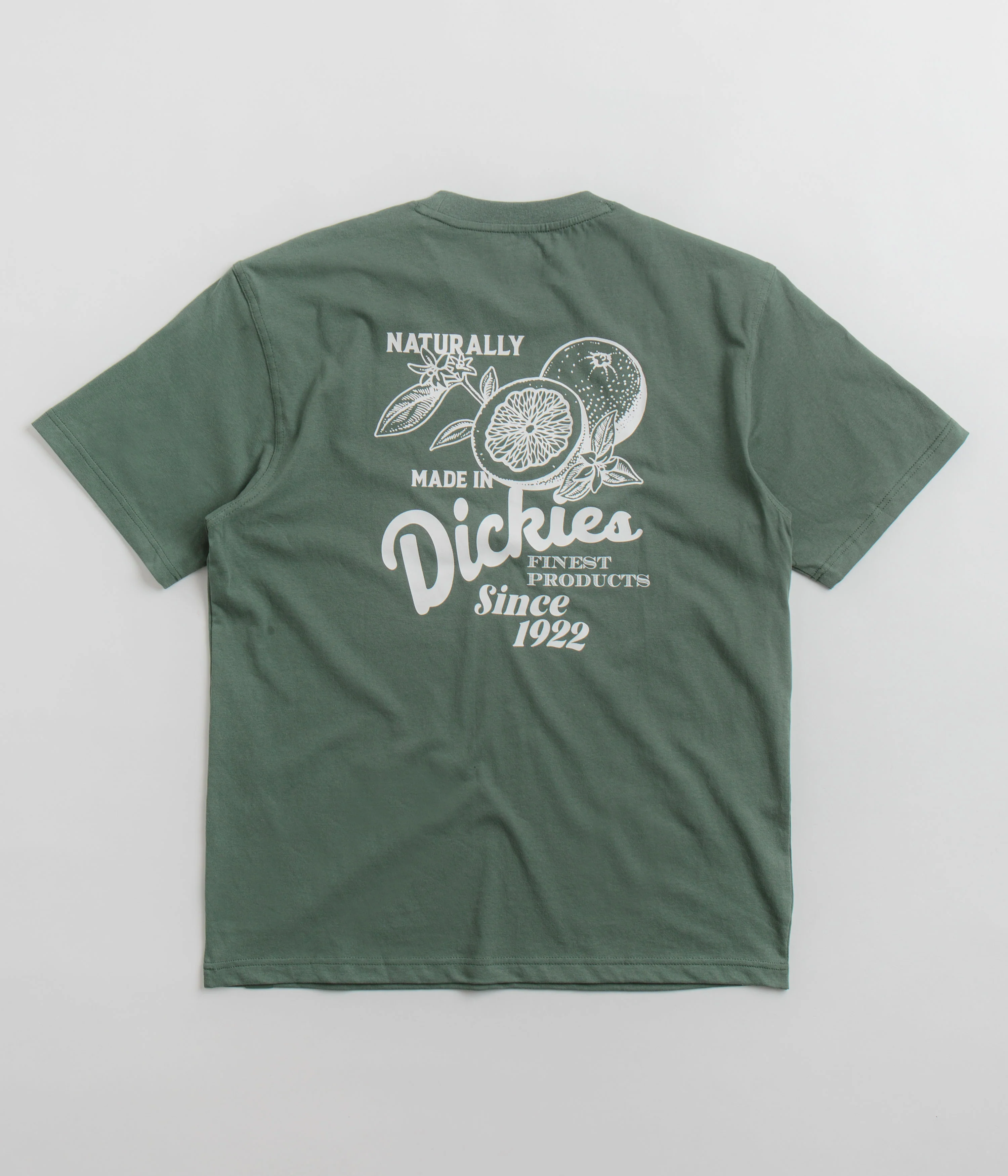Dickies Raven T-Shirt - Dark Forest