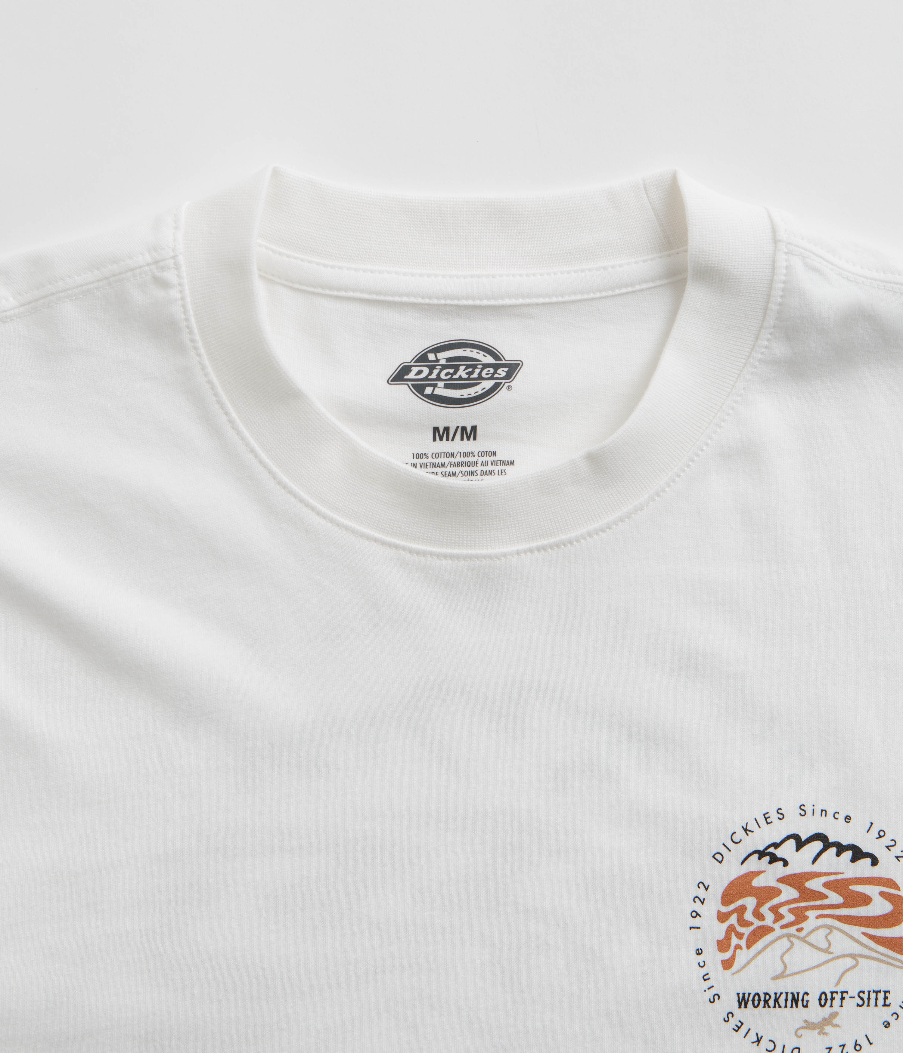 Dickies Stanardsville T-Shirt - White - Image 4
