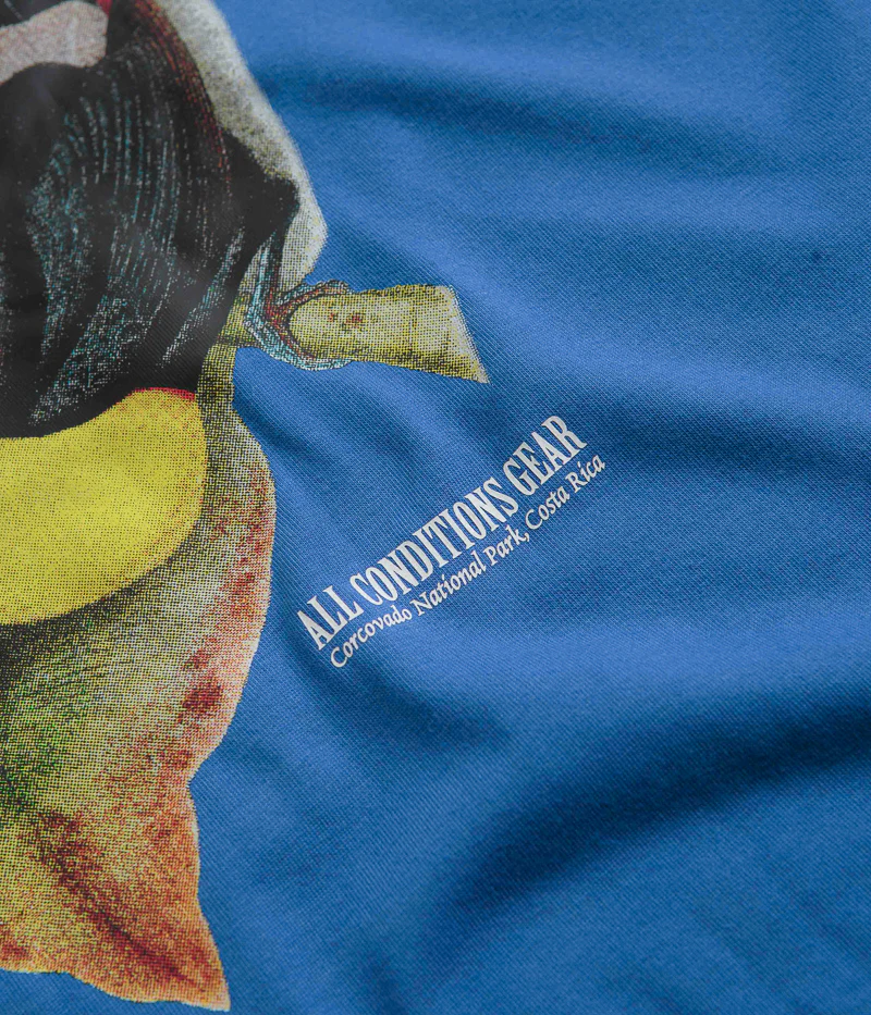 Nike ACG Toucan T-Shirt - Game Royal - Image 3