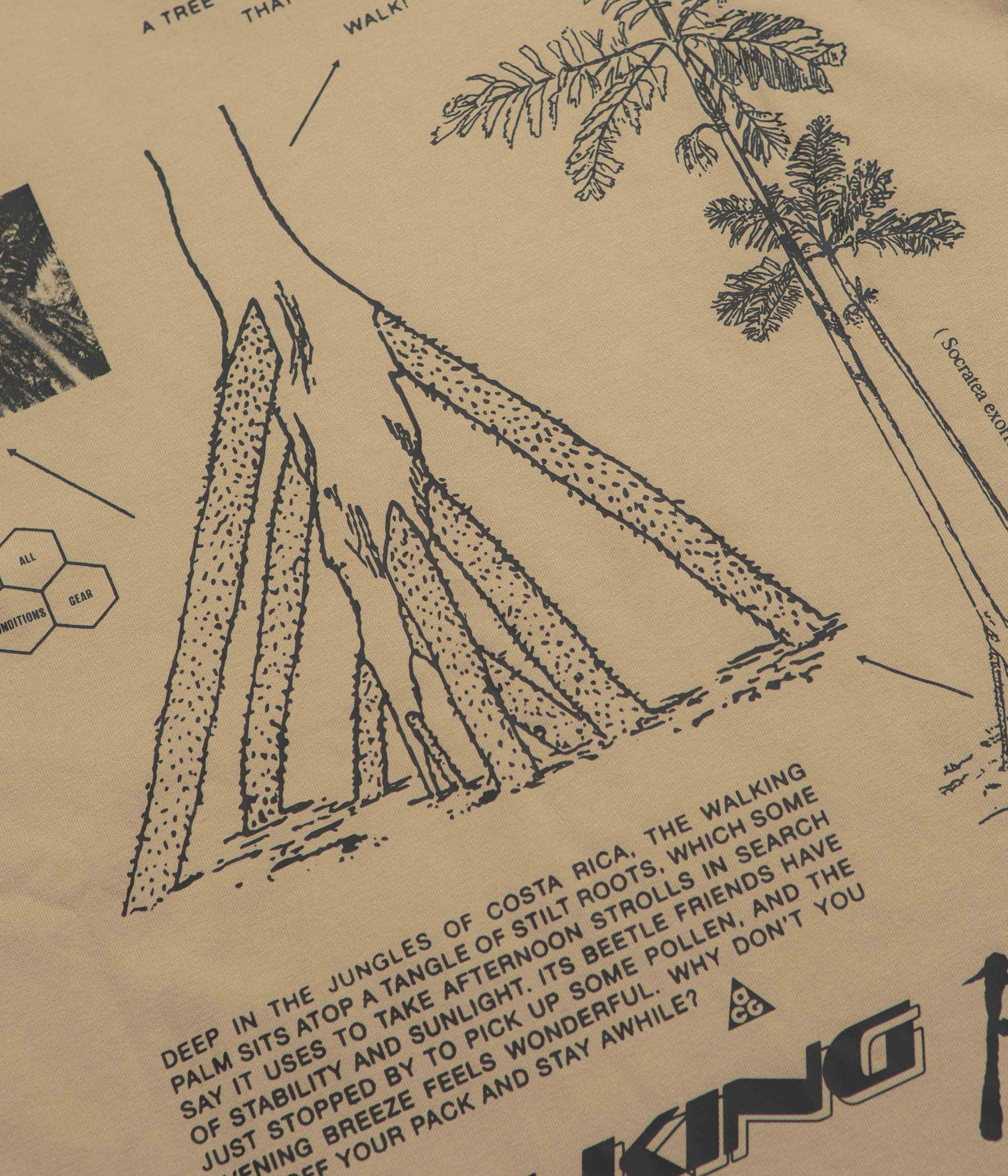 Nike ACG Walk Tree T-Shirt - Parachute Beige - Image 6