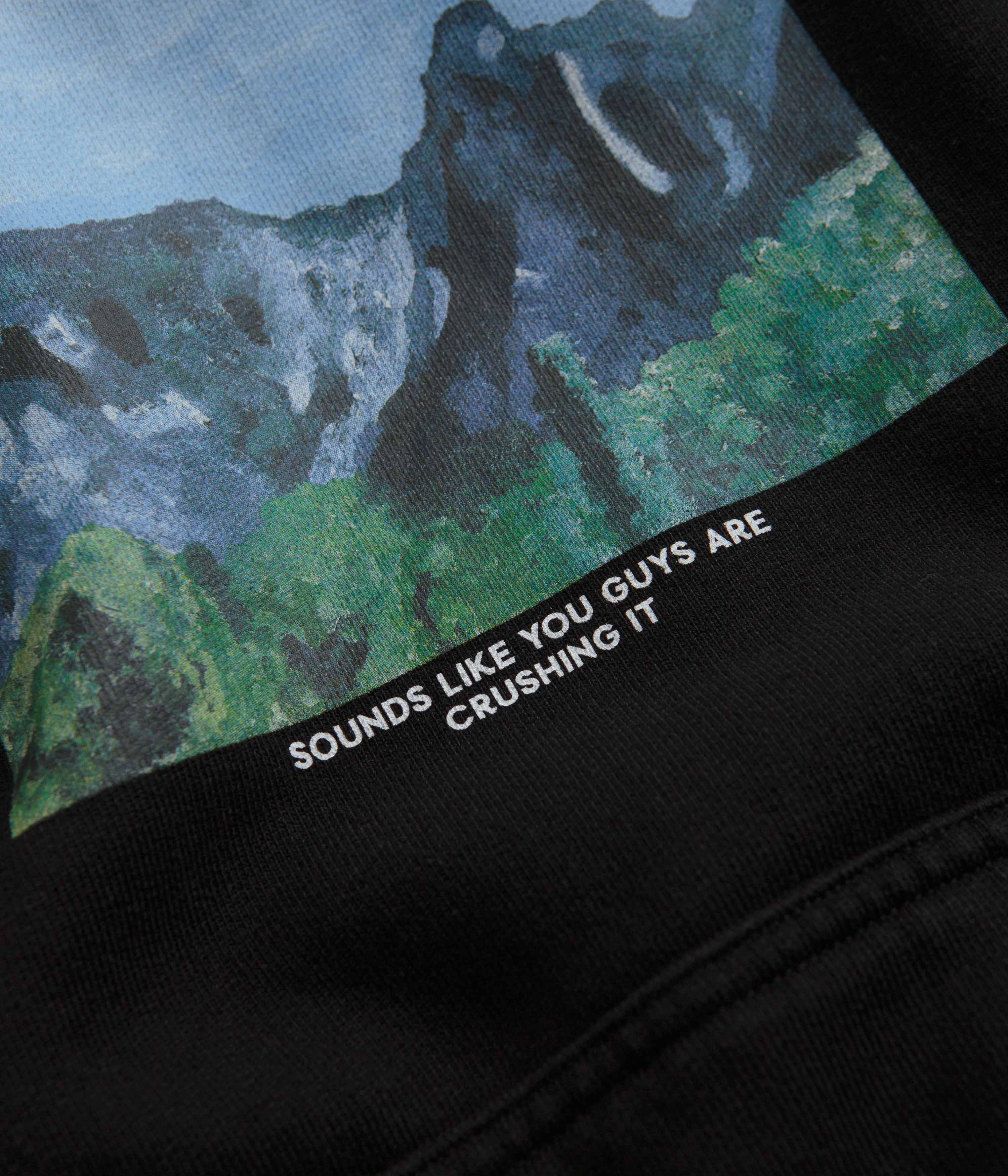 Polar Sounds Like You Guys Are Crushing It Ed Hoodie - Black - Image 3